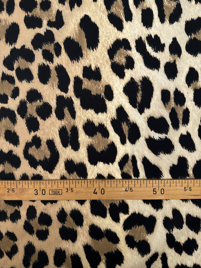 TZ-184 image 4