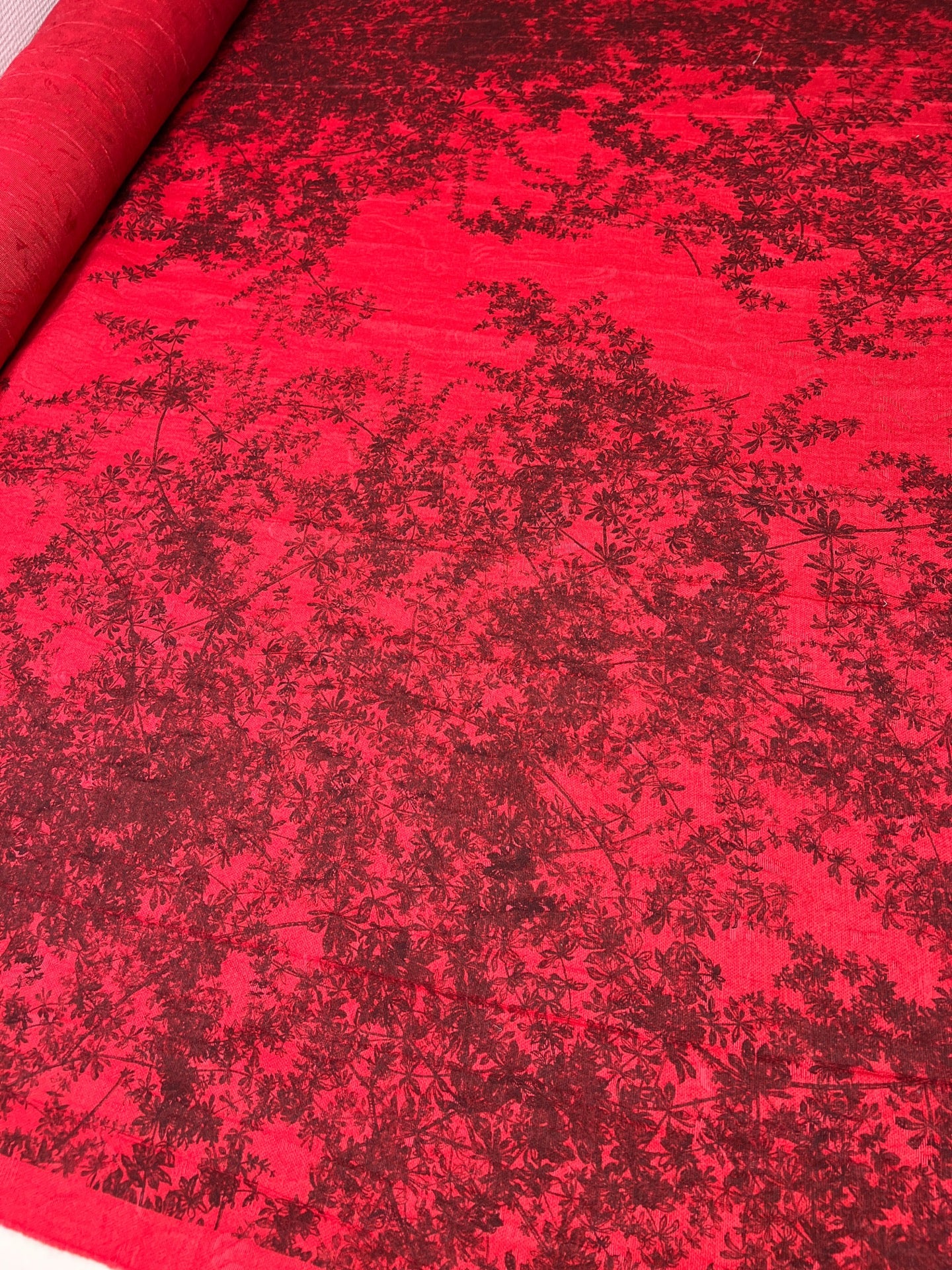 CA-017 image 5