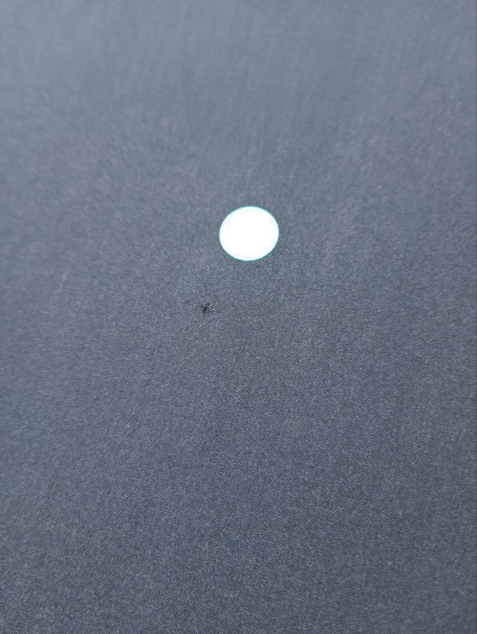 TB-798d – image 6