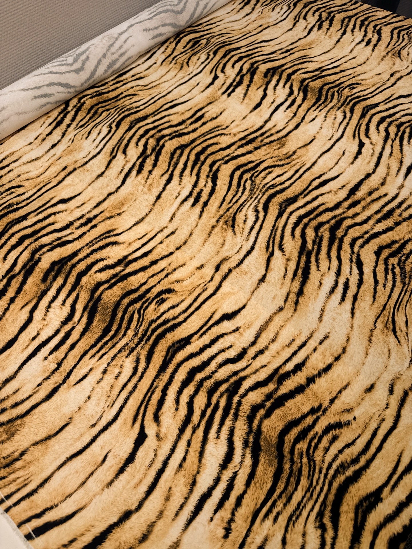 TZ-161 image 5