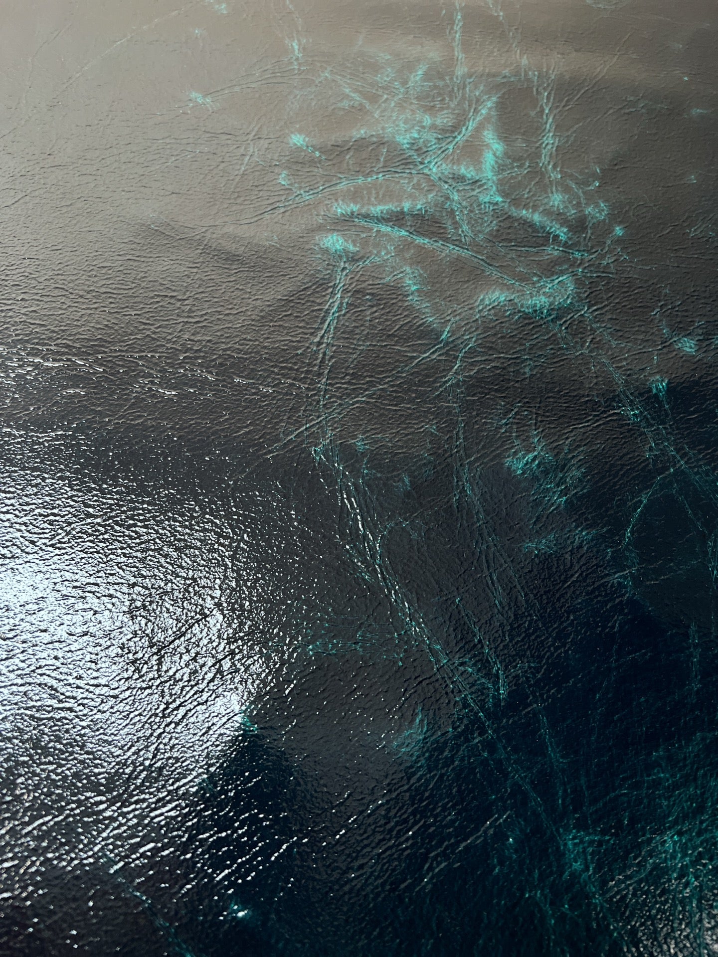 CS-278 – image 5