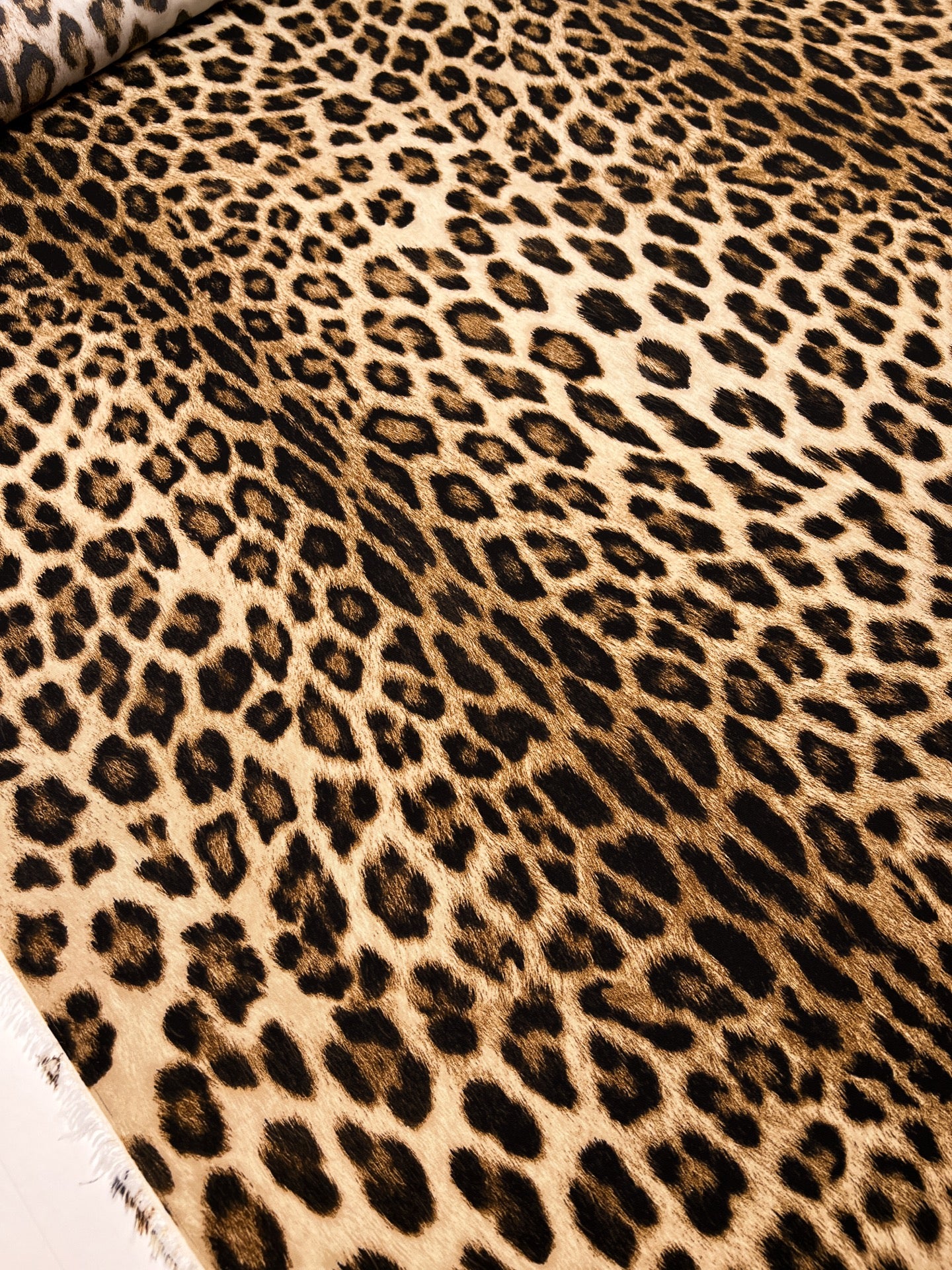 TZ-512 image 5