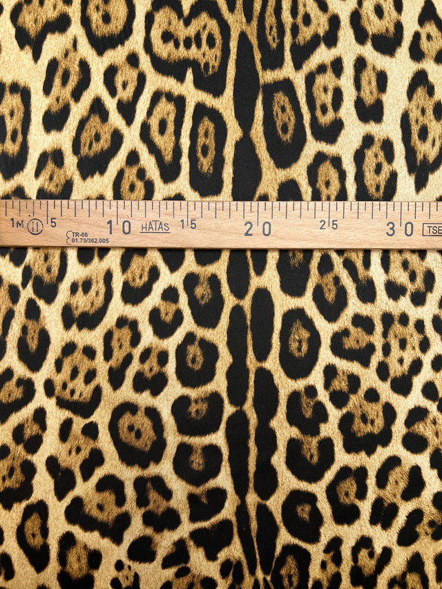 TZ-374 image 4
