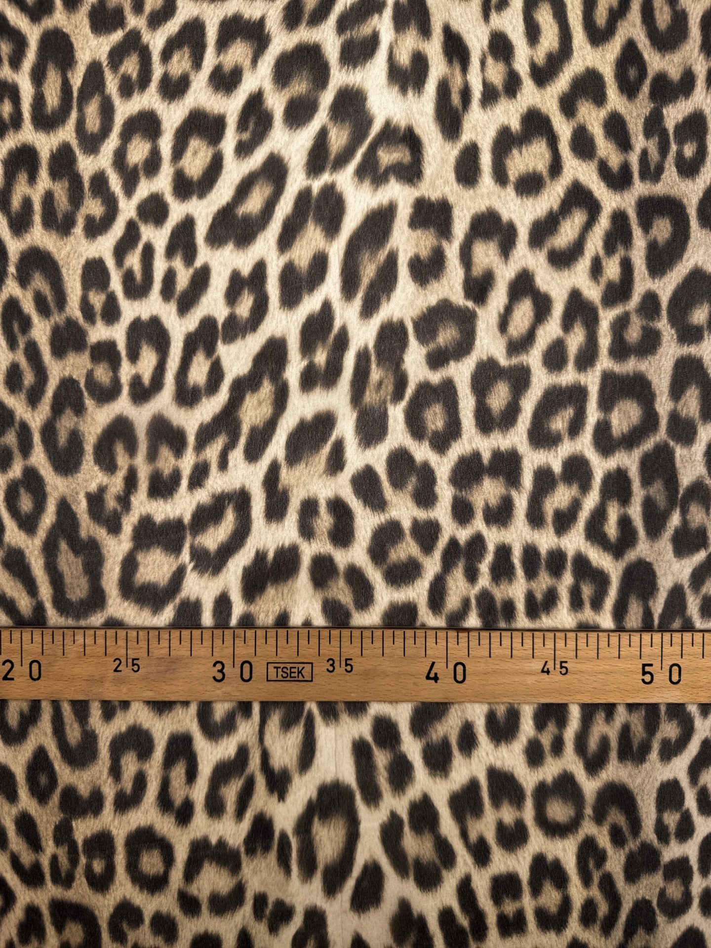 TZ-179 image 4