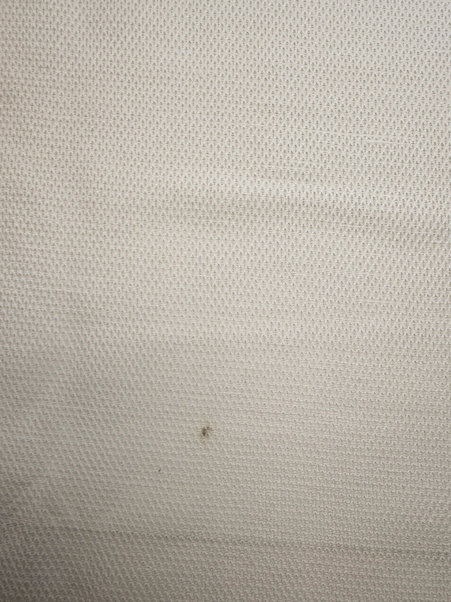GH-194d image 4