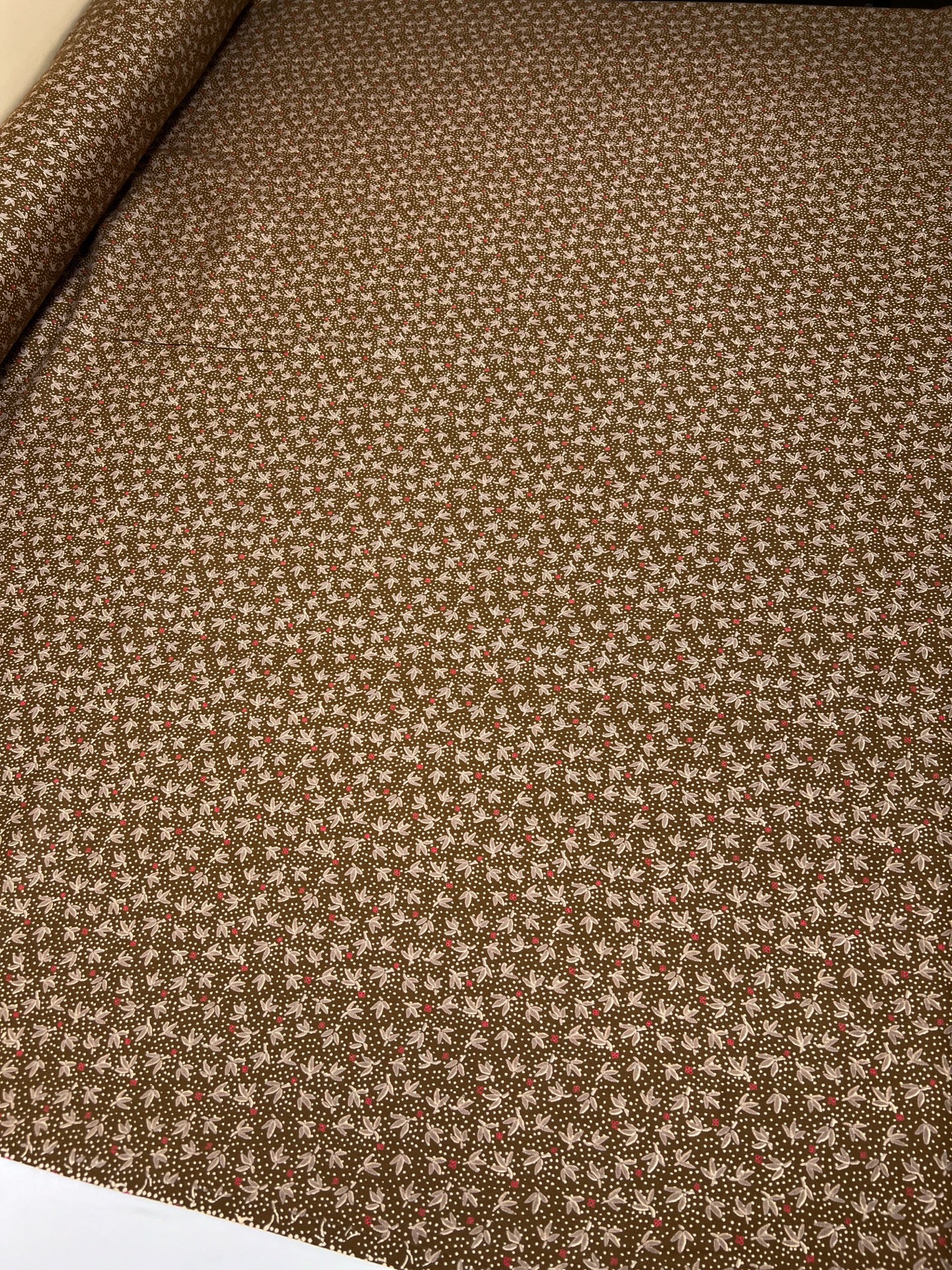 TR-281 – image 5