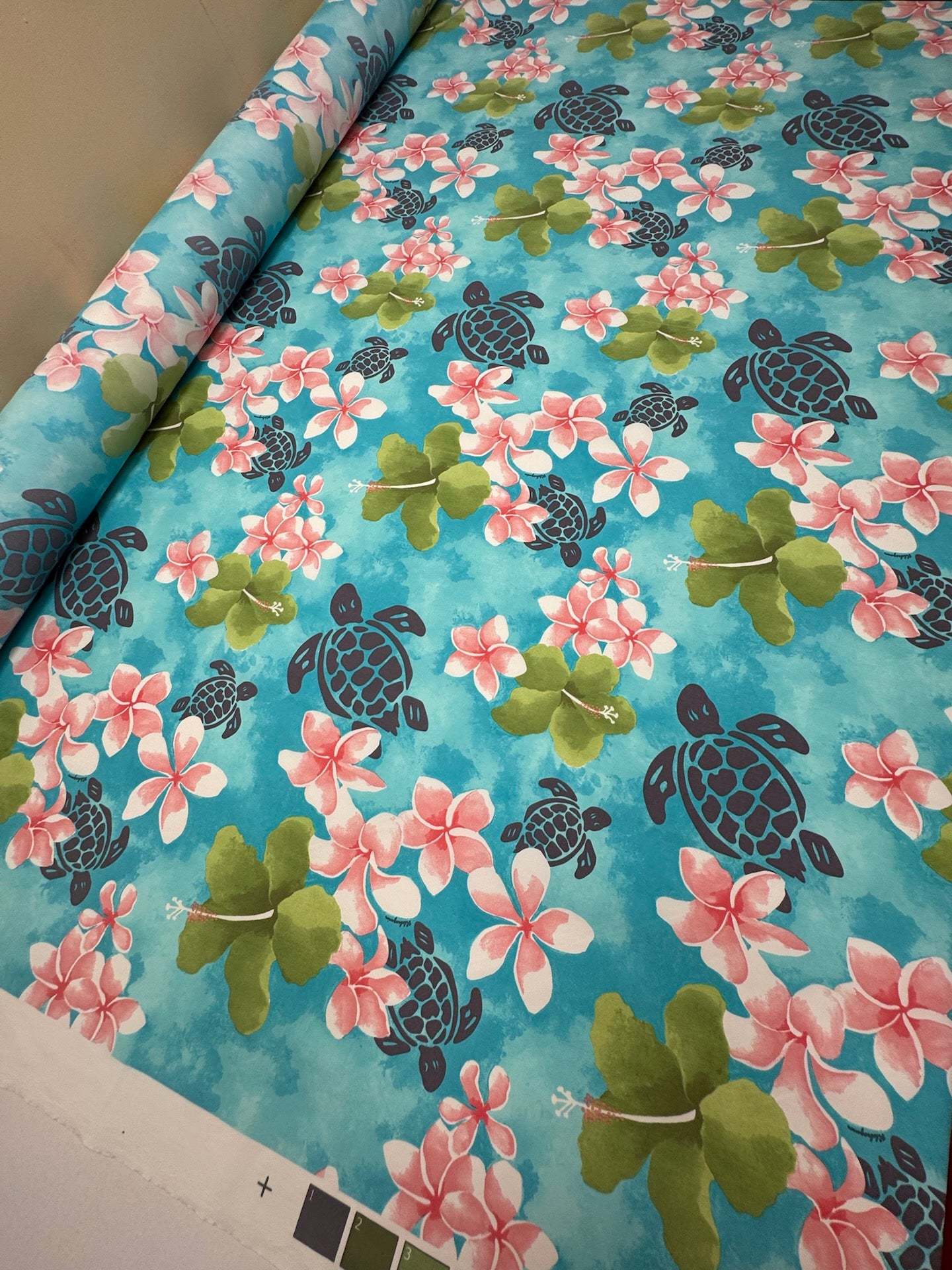 DF-1255 – image 5