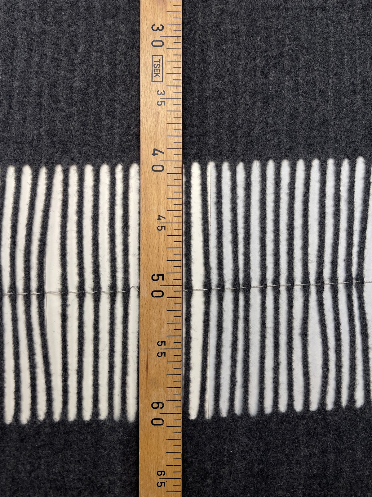 TE-119 image 4