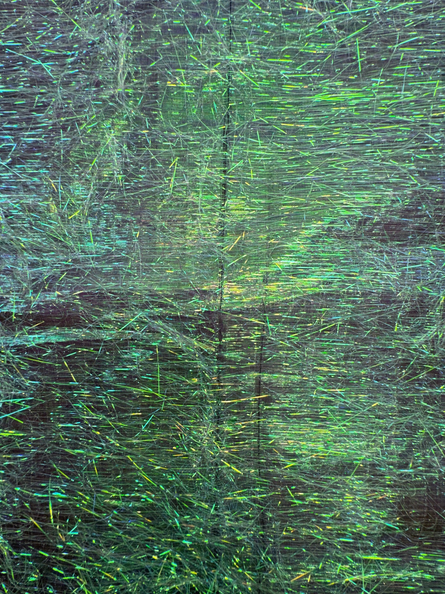 NM-037d – image 4