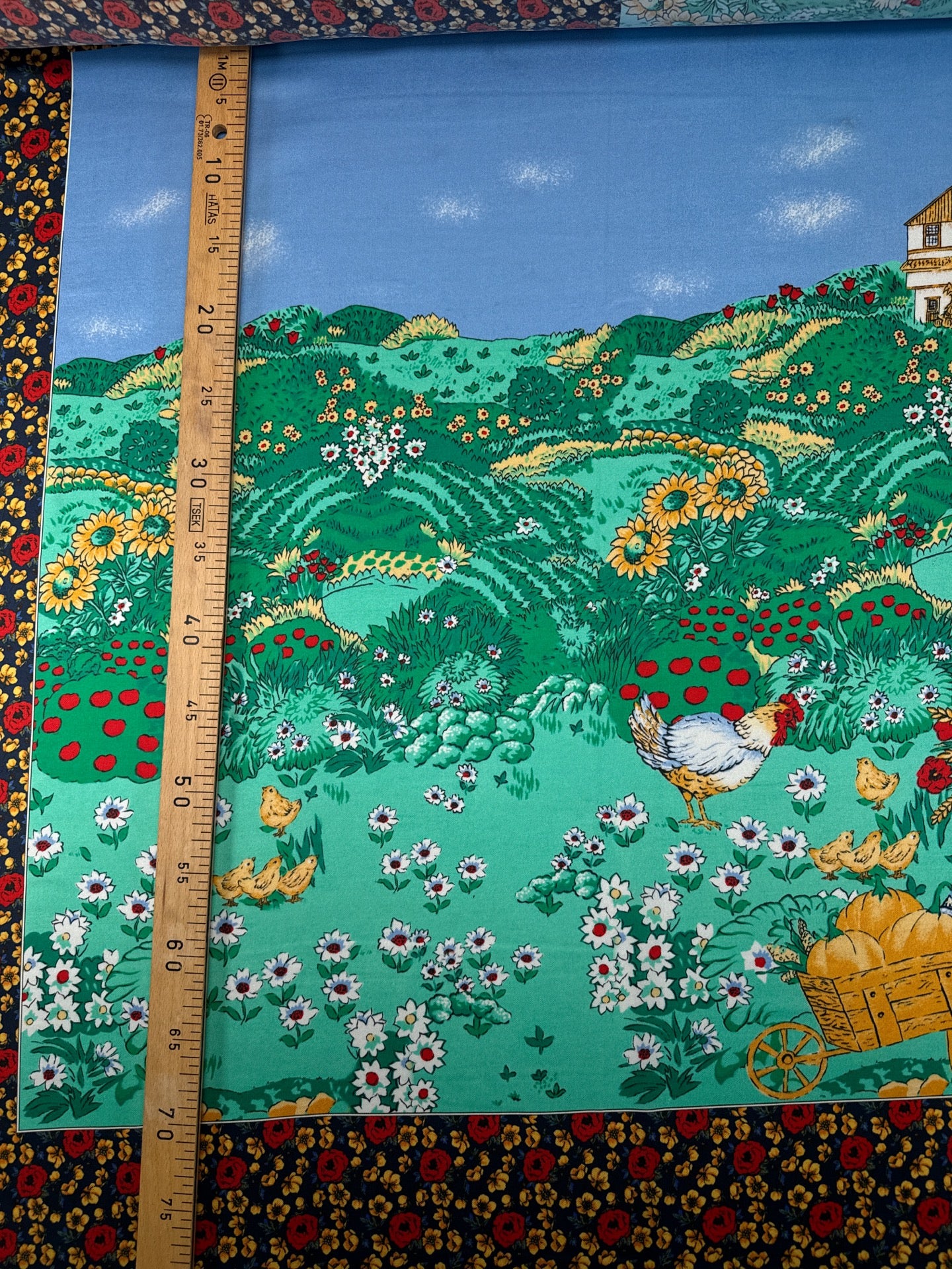 MP-585 – image 4