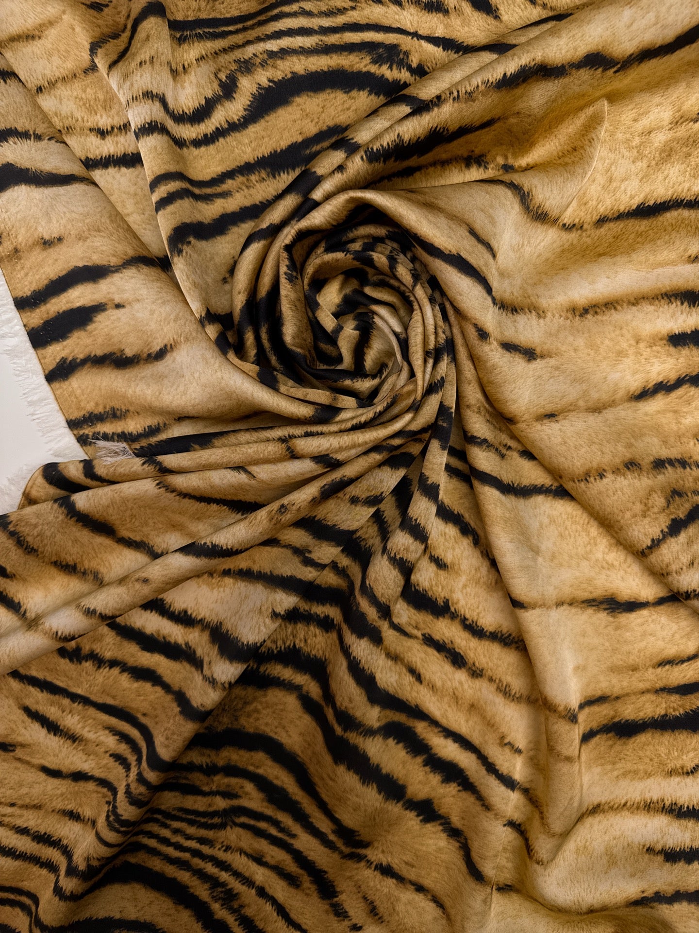TZ-167 image 1