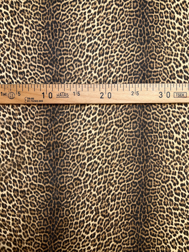 TZ-481 image 4