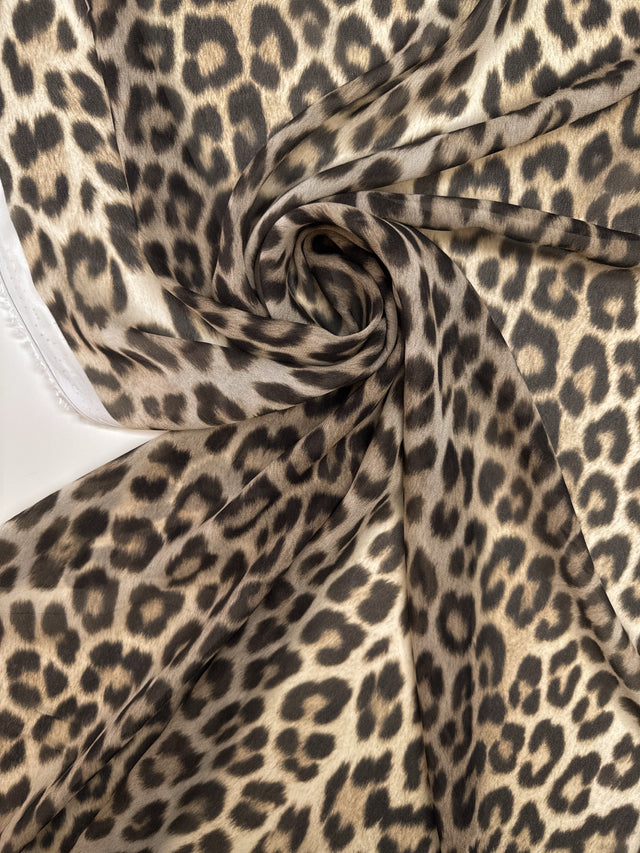 TZ-179 image 1