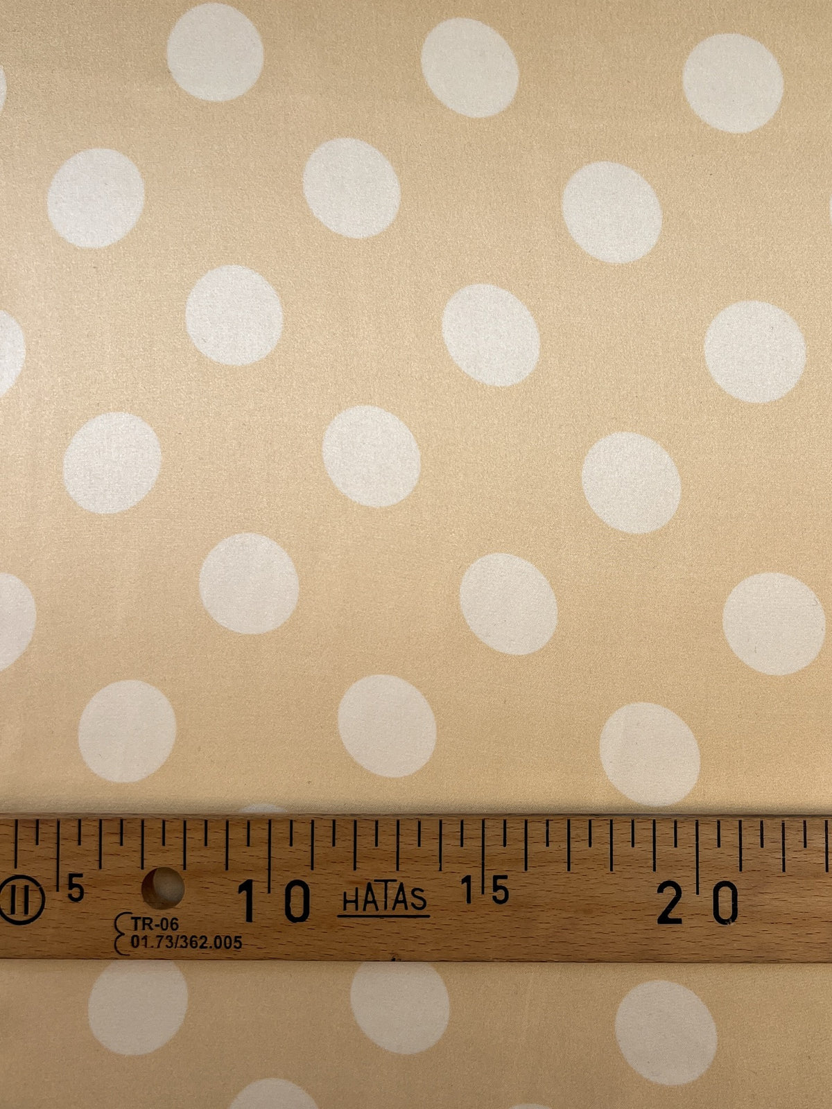 TE-079 image 3