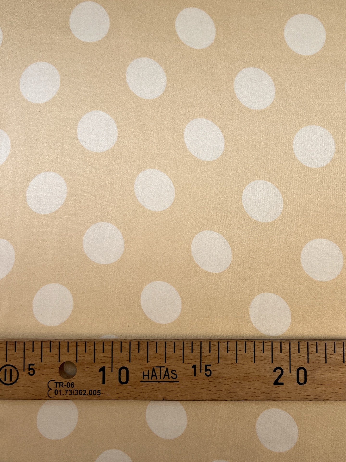 TE-079 image 3