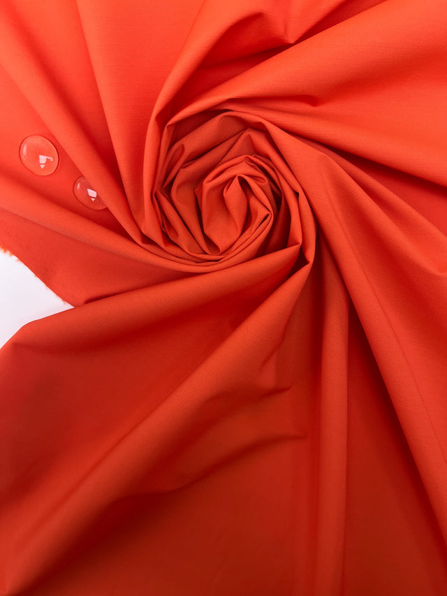 LP-1087d – image 1