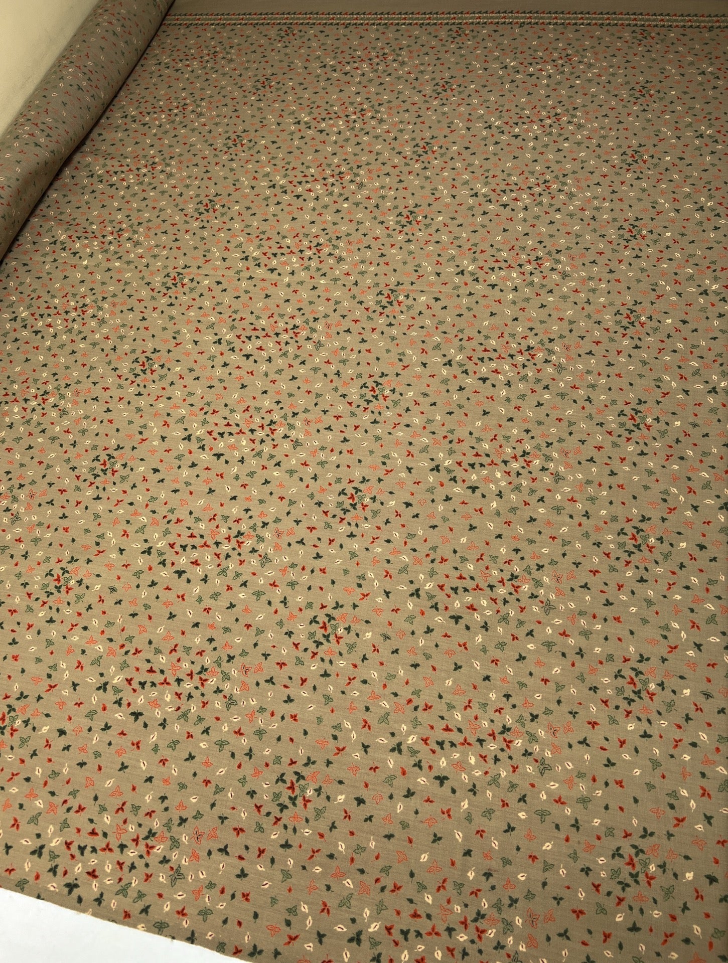 TR-519 – image 5