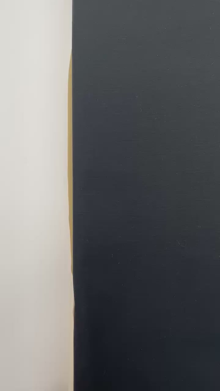 Load video: video 72486b53-d052-4f79-96c8-d27a396618b6