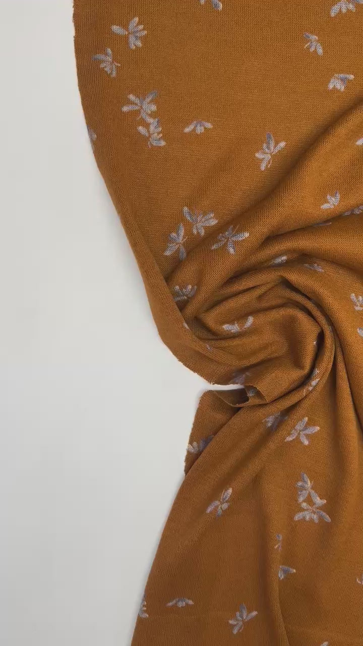 video dcf35cab-e5fe-4d37-a2e2-6f2793da9173