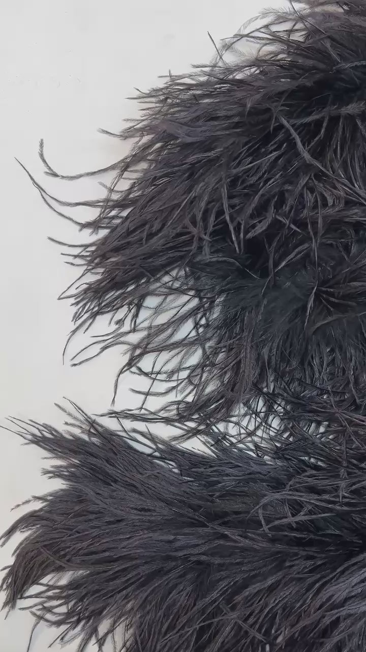 video ac408e38-f94e-4492-b147-36b2c3379e15