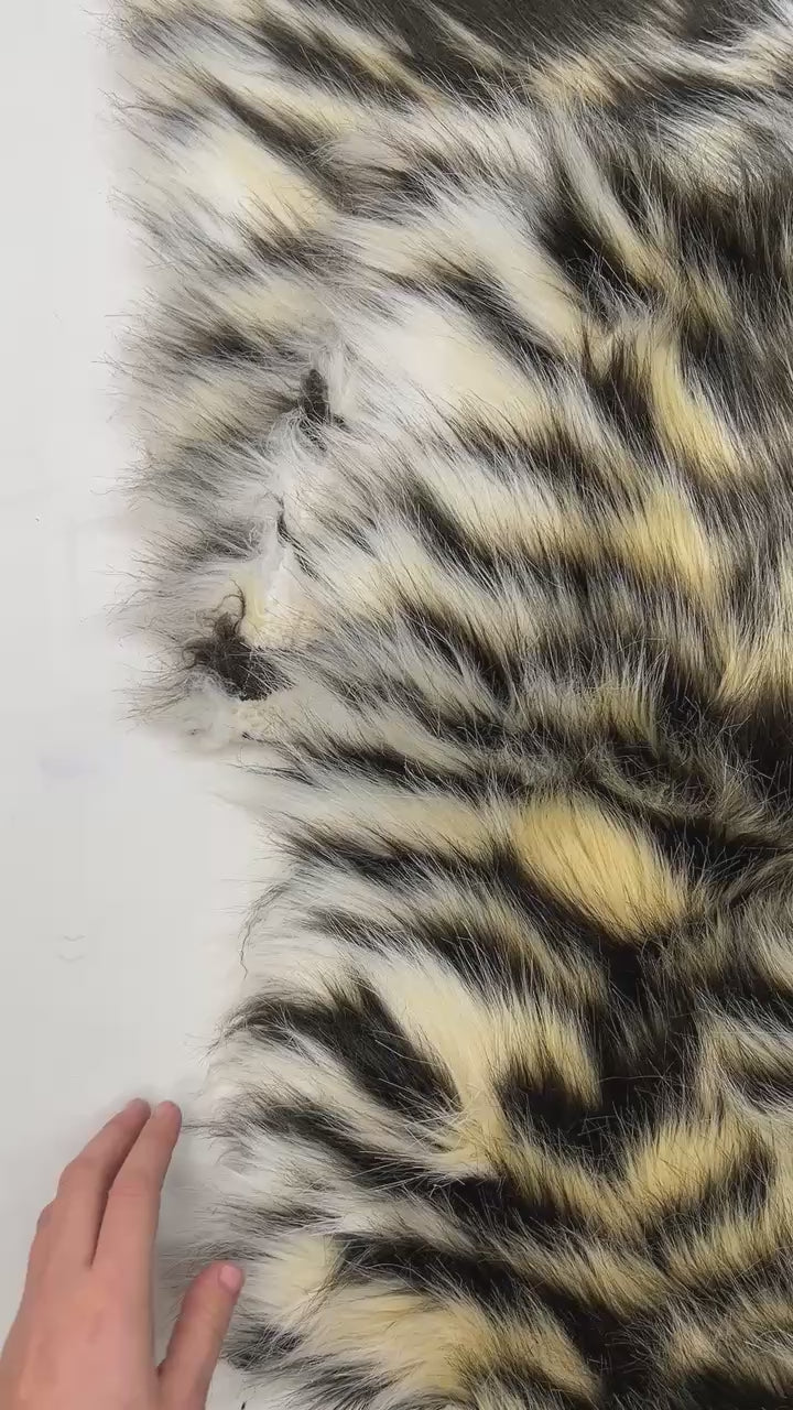 Charger la vidéo : video 194d2141-4b85-4c39-a1a4-fc9c2d06a1b1