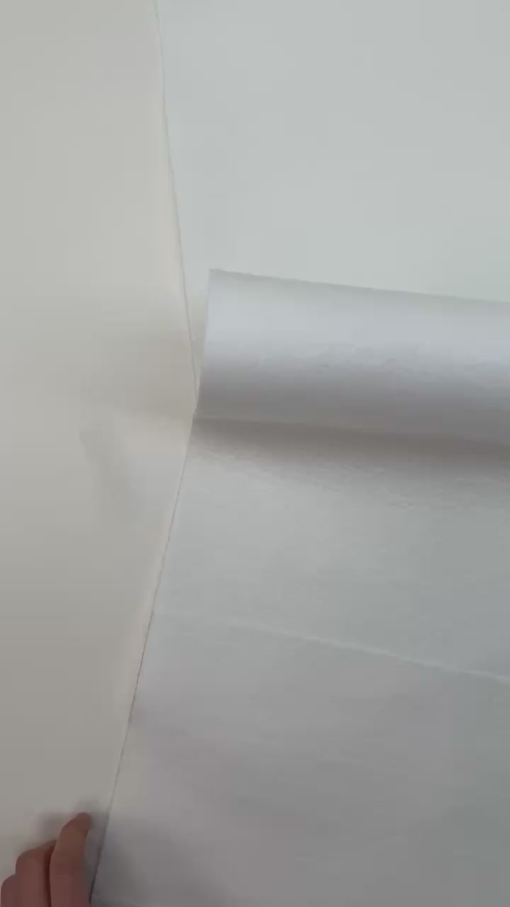 video 13de3974-2f3c-4328-a5f1-84d377348fd3