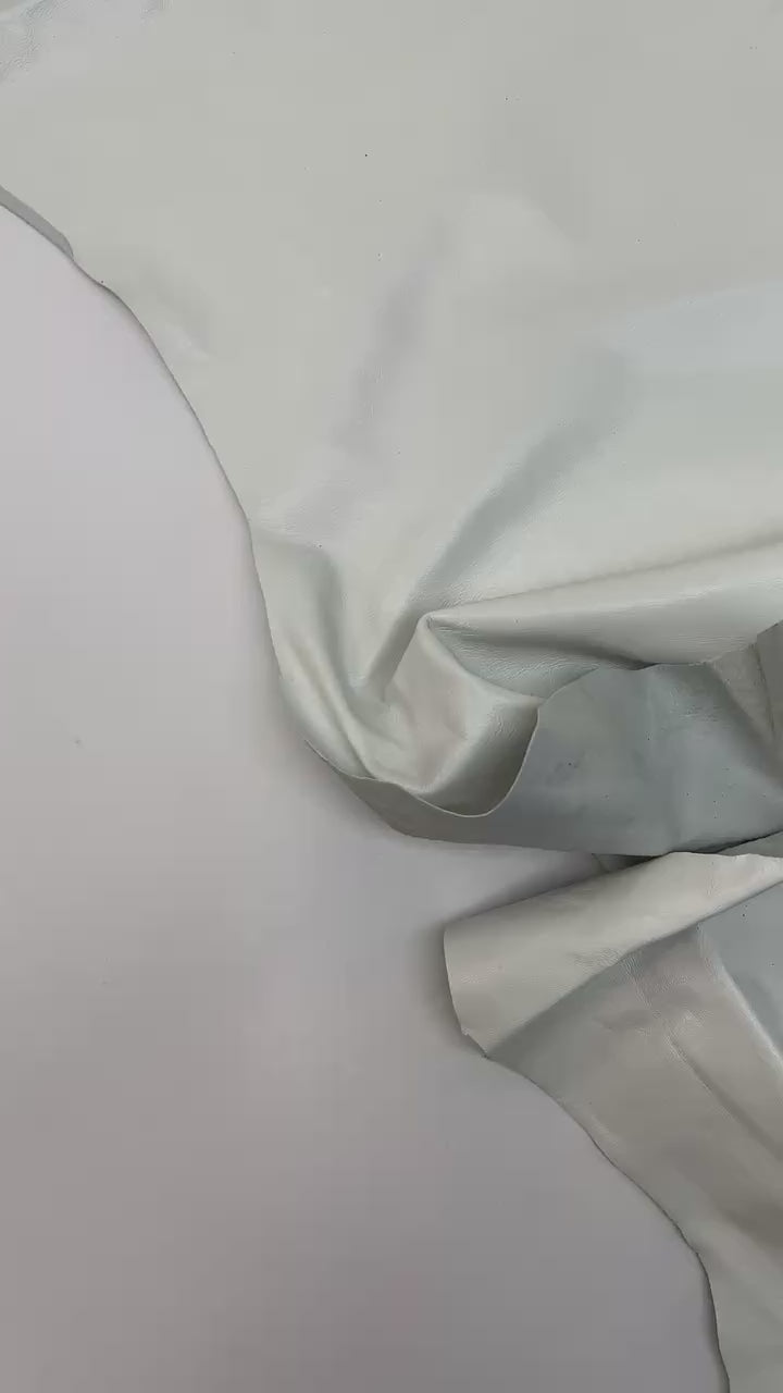 video a8fdfe47-6358-4ed4-9daf-3c7936fc1894