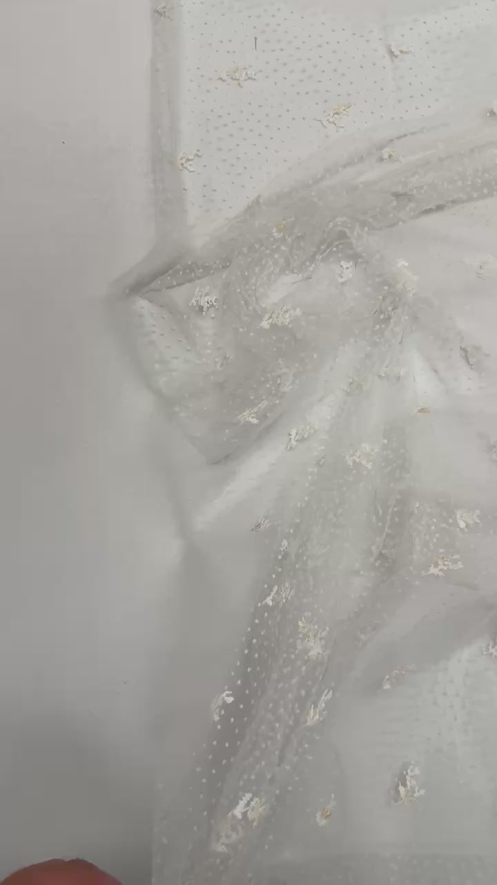 video a7e0f6a2-b8d6-4d0b-b555-7e8dccd3203e
